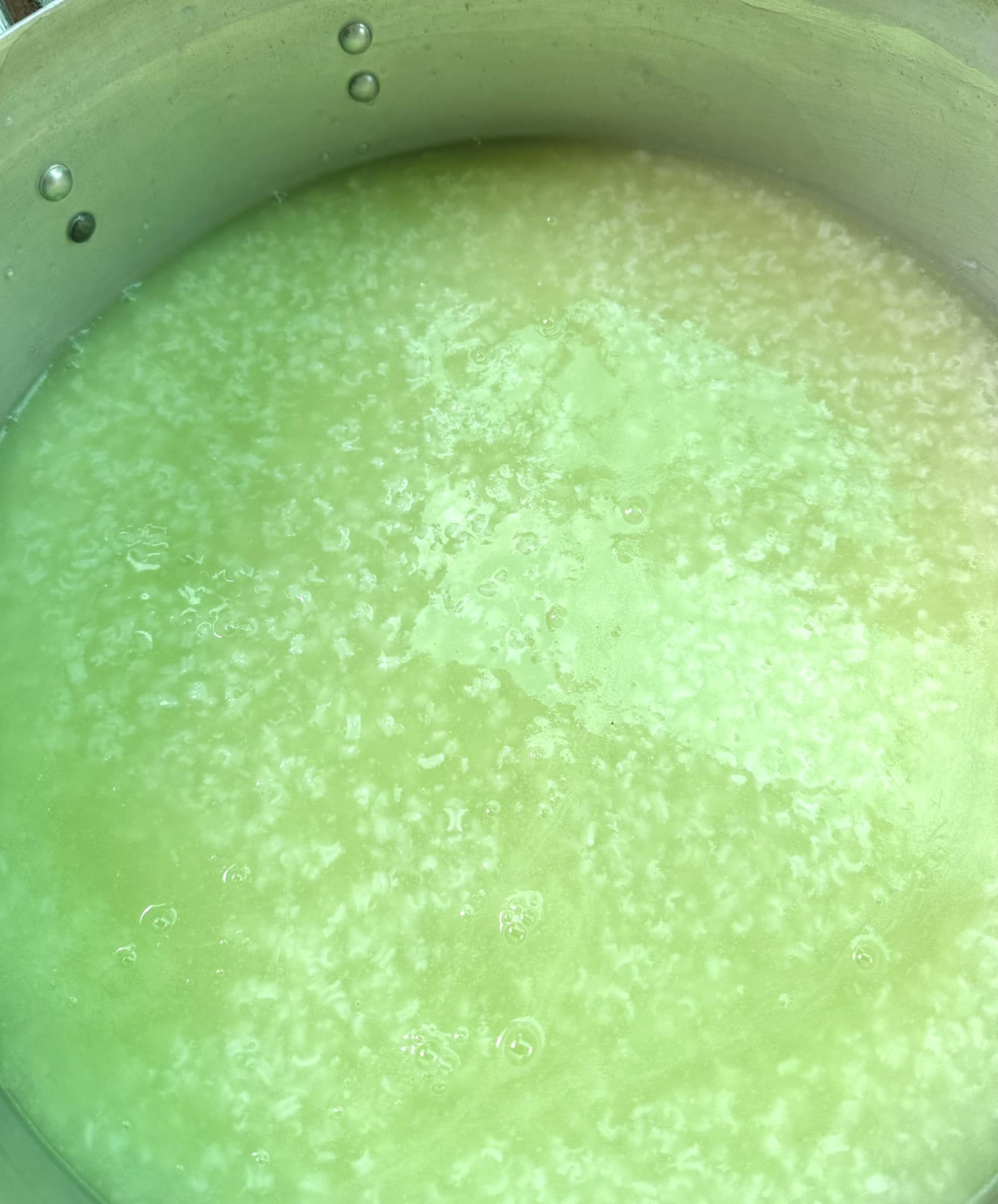 486819113 1240116614157721 91730667867048561 n