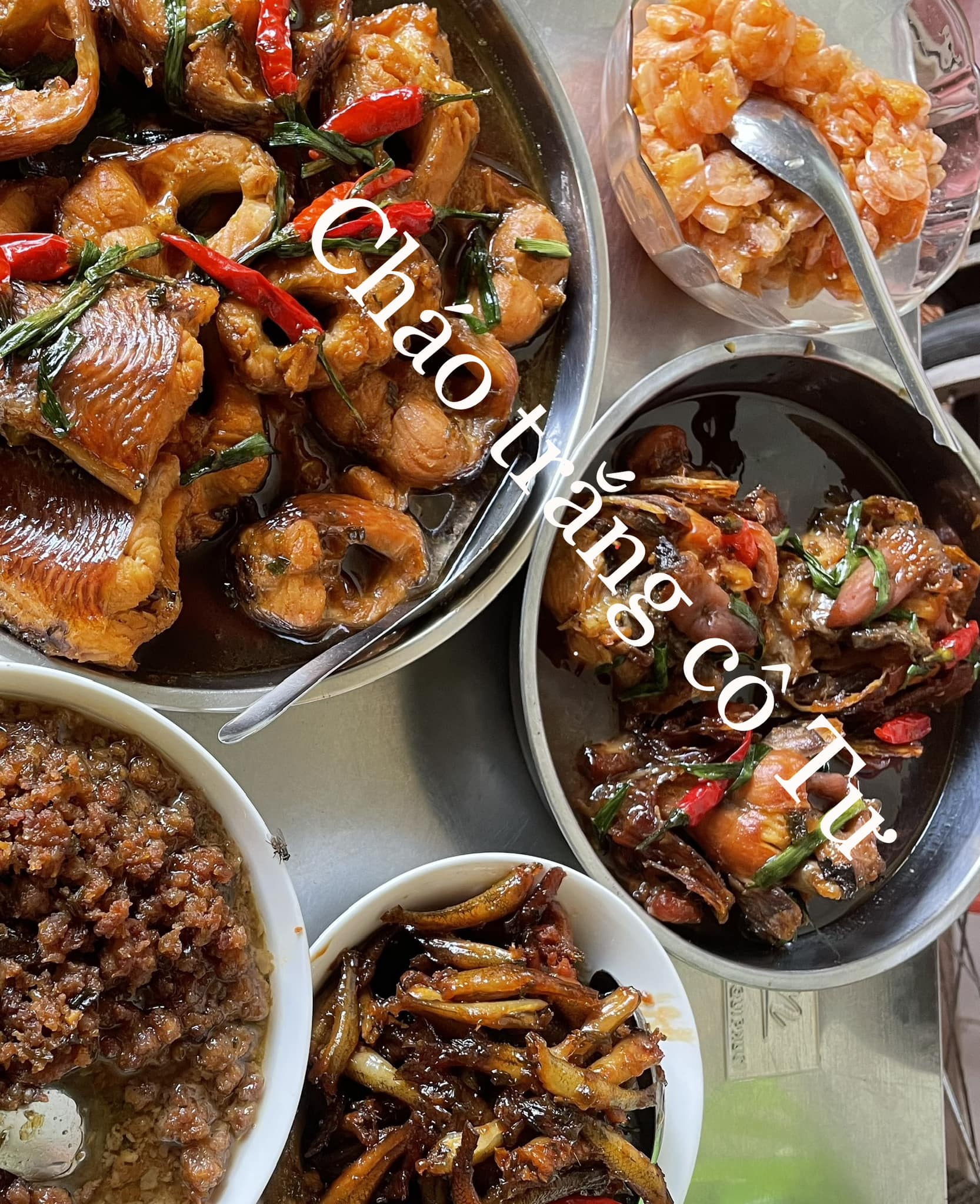 486819126 1240116610824388 3869045215467013322 n