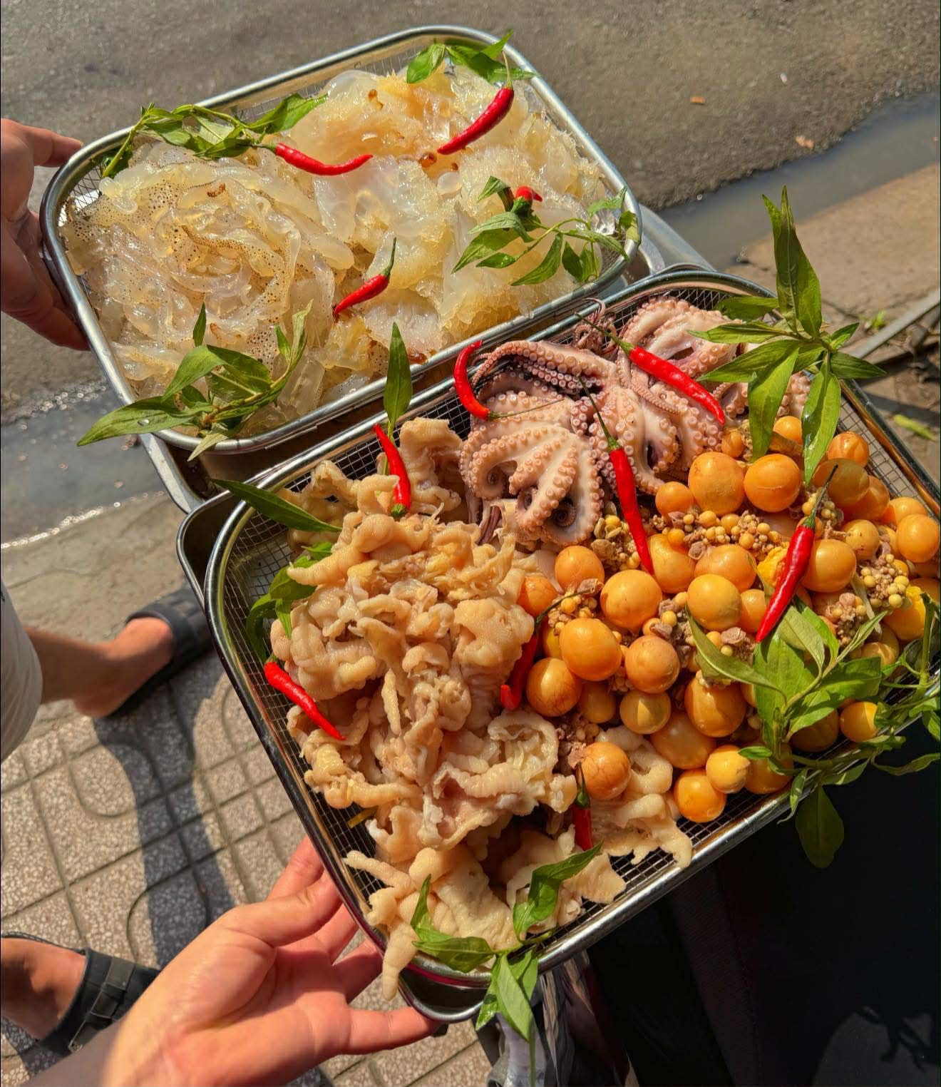 661827335 4616042625309255 493296858689796001 n